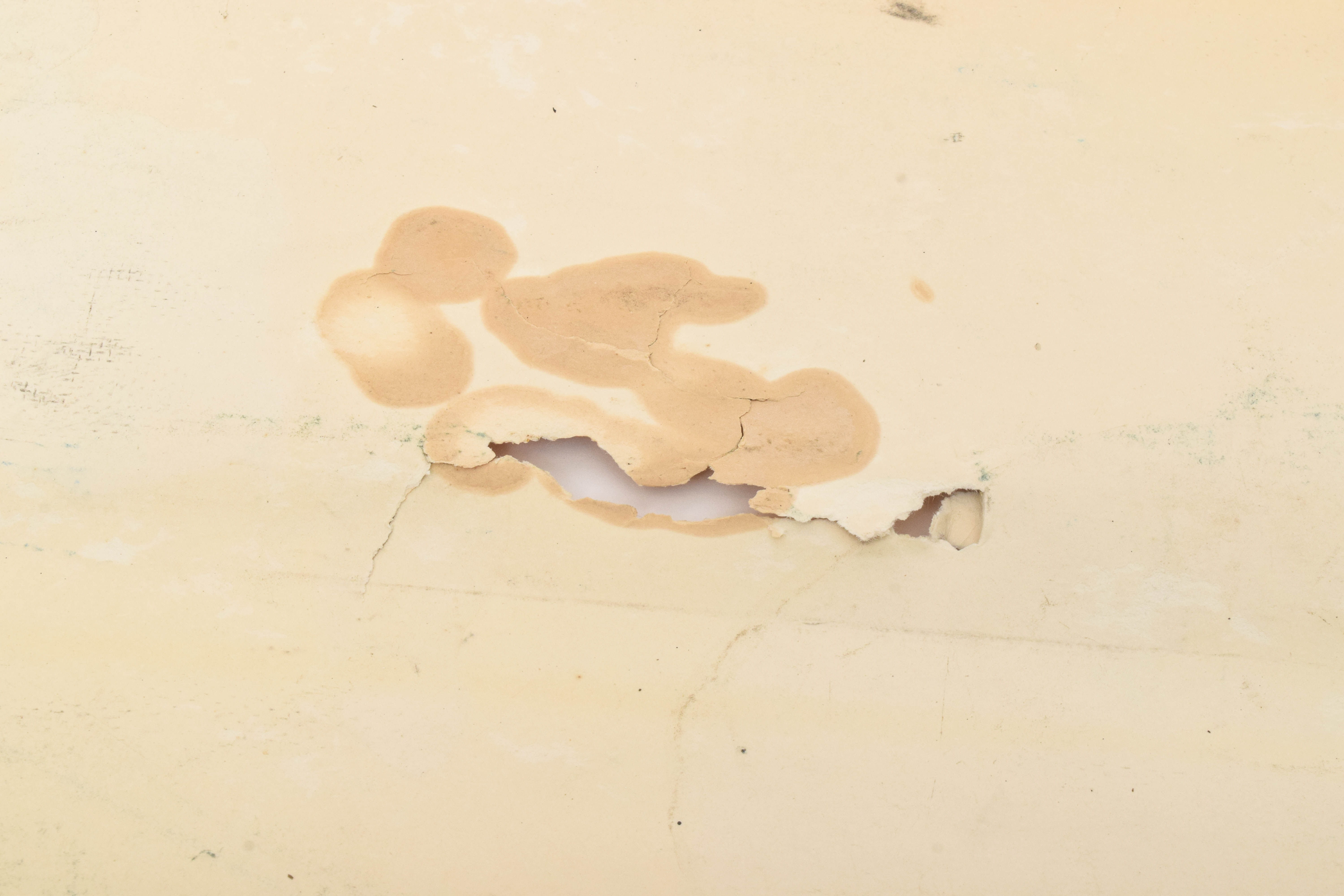 1995 Jimmy Page & Robert Plant Tour Poster