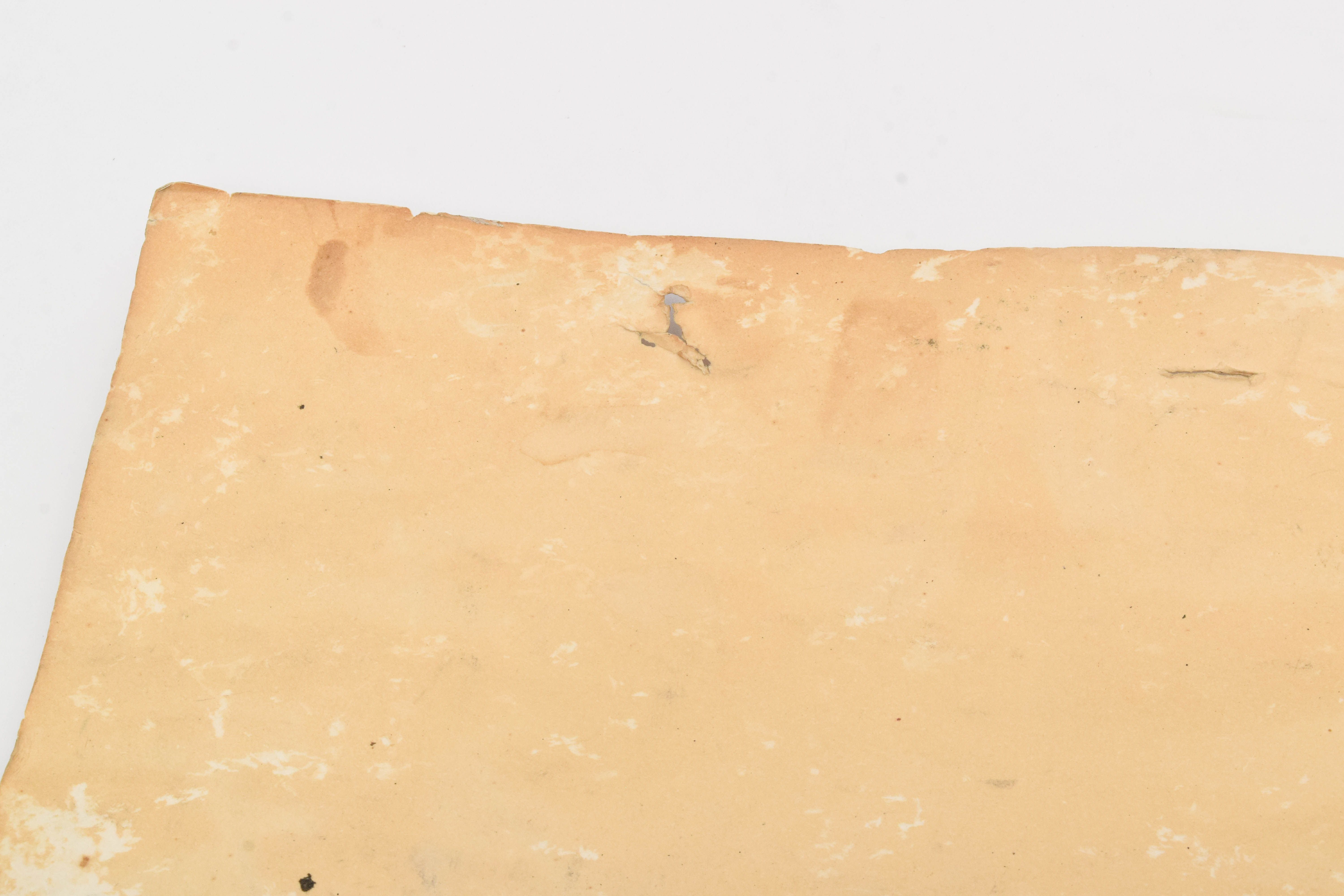 1995 Jimmy Page & Robert Plant Tour Poster