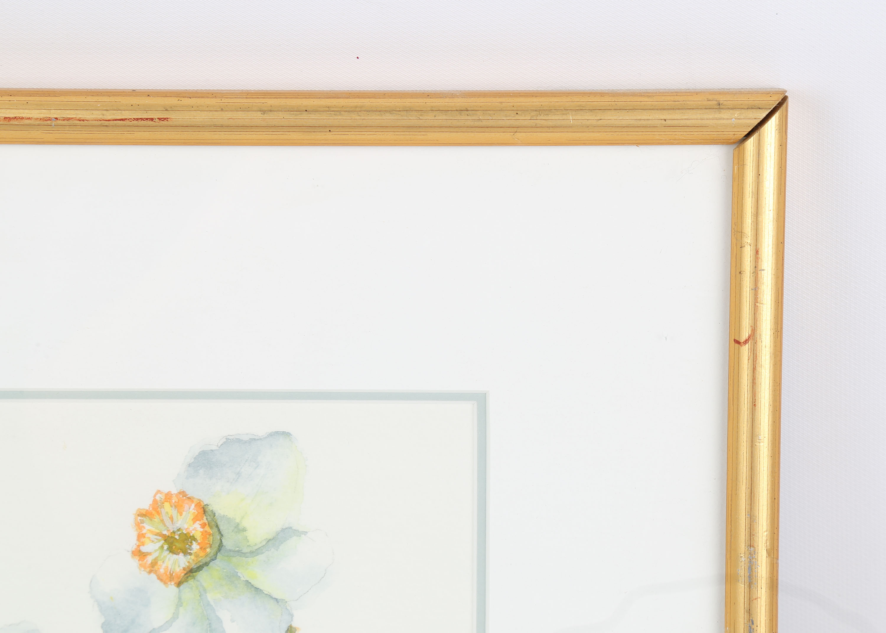 Original Still Life Watercolor