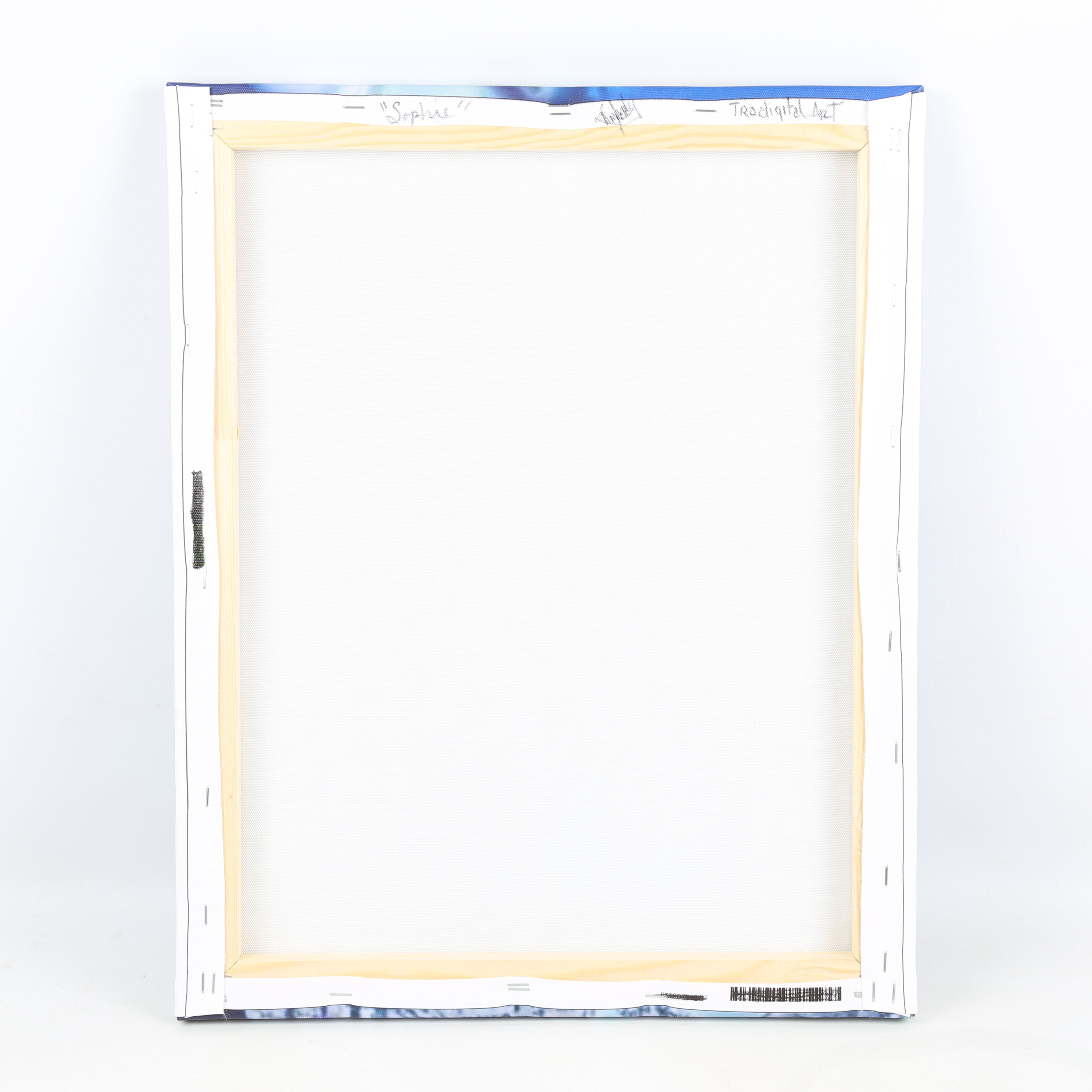 Kimberly Tradigital Mixed Media on Canvas "Sophie"