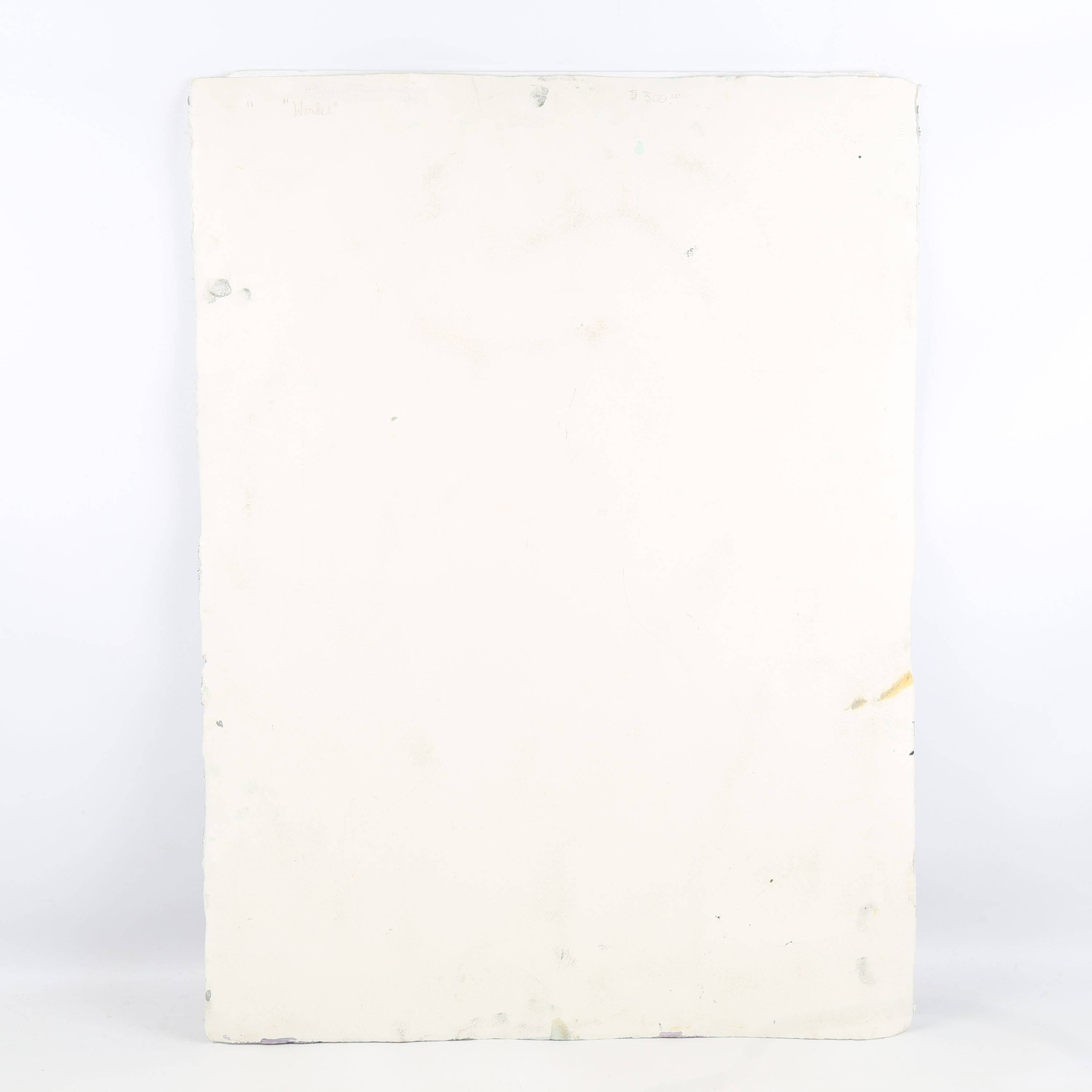 Donna Wheatley Mixed Media on Paper "Wonder"