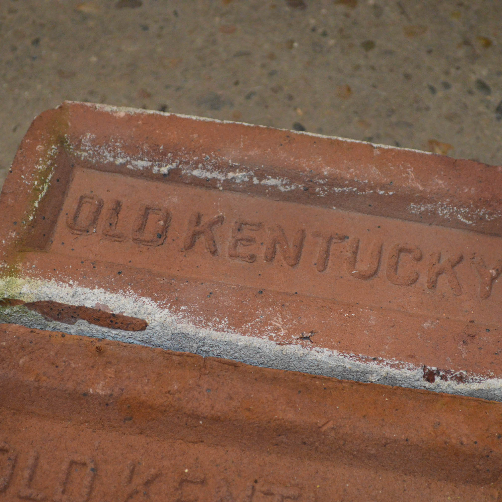 Antique Clay "Old Kentucky" Bricks