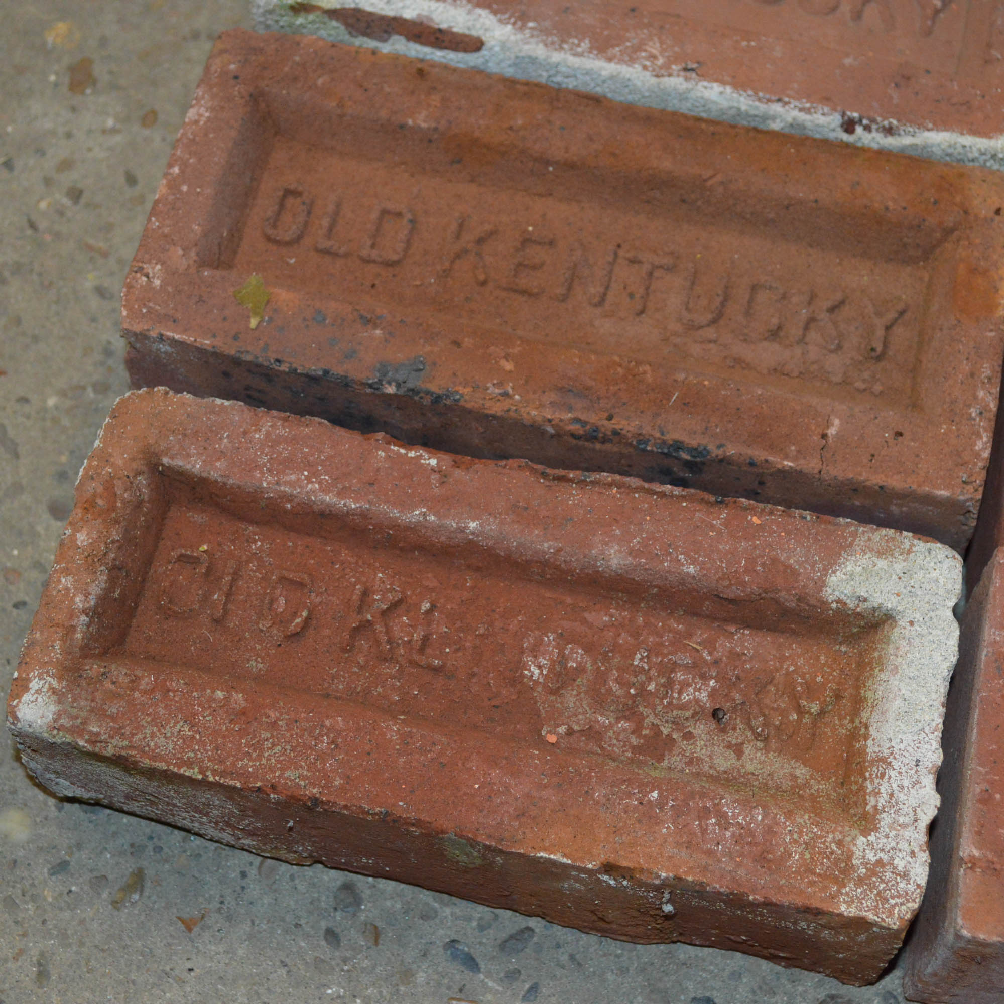 Antique Clay "Old Kentucky" Bricks