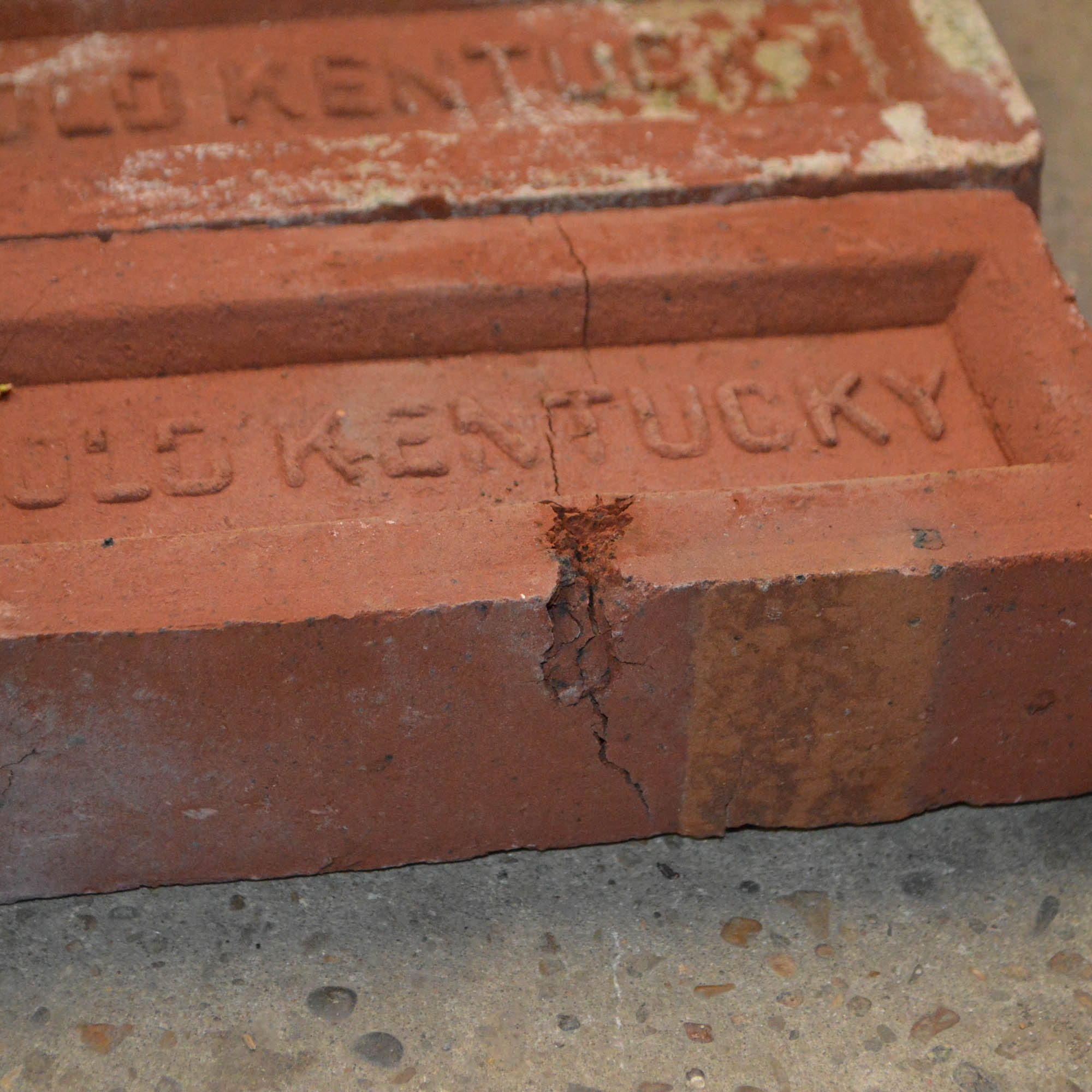 Antique Clay "Old Kentucky" Bricks