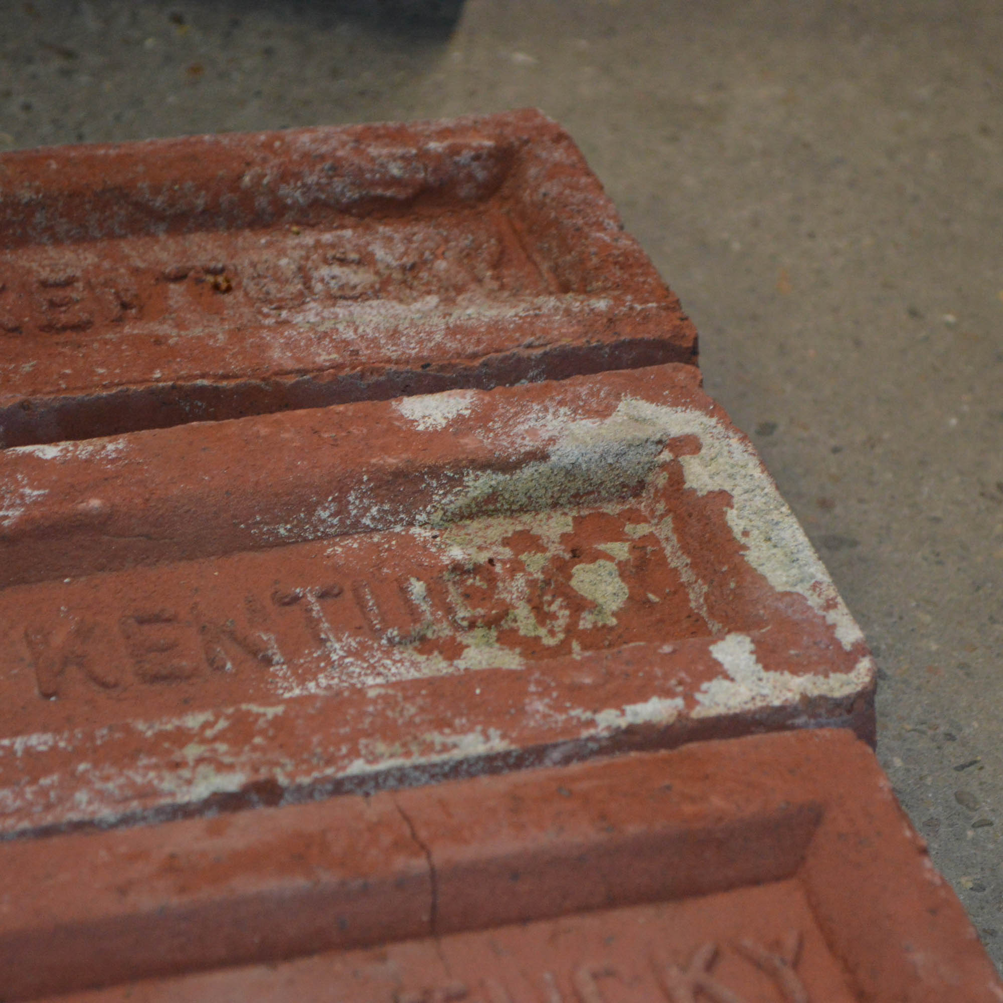 Antique Clay "Old Kentucky" Bricks