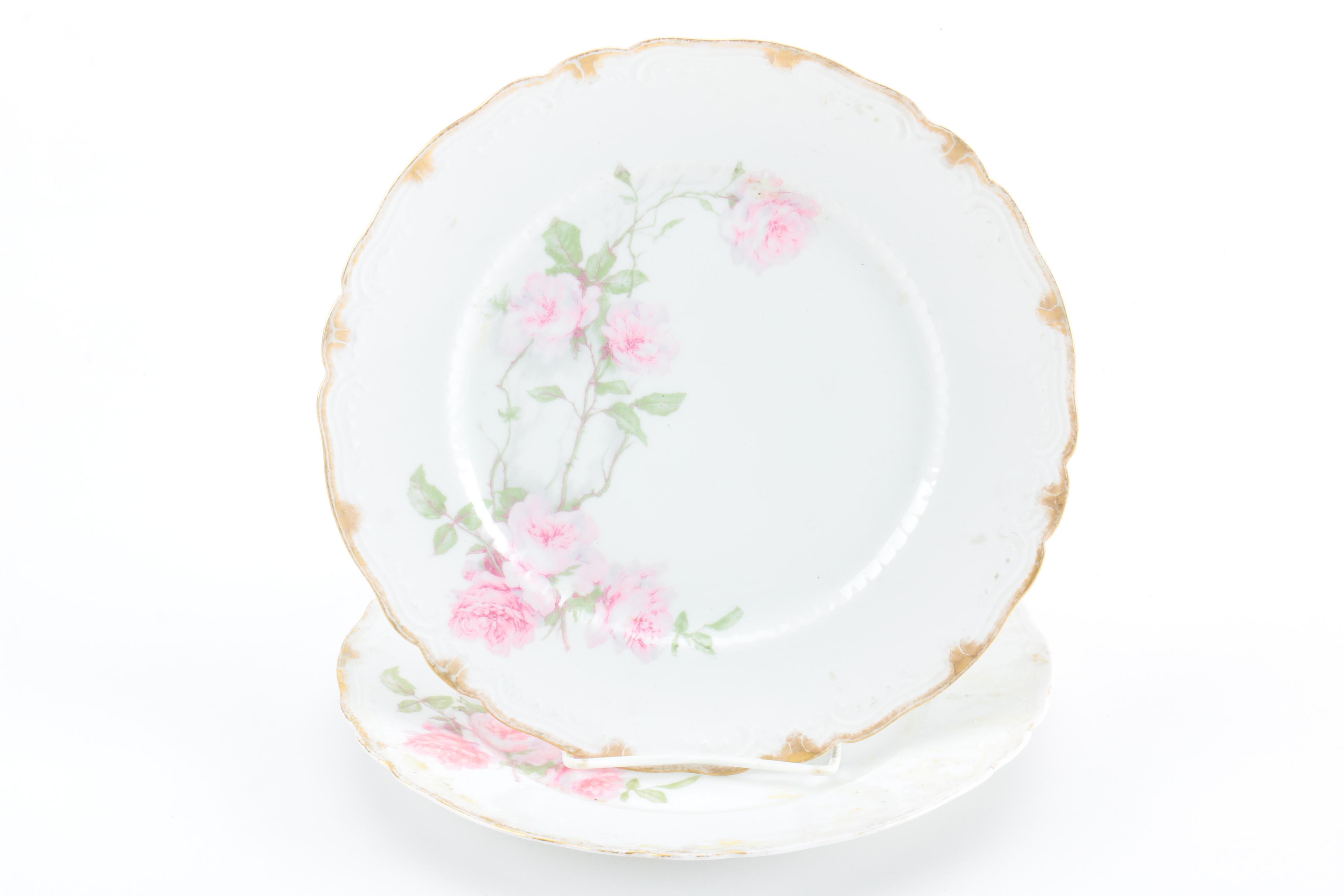Limoges France Porcelain Plates