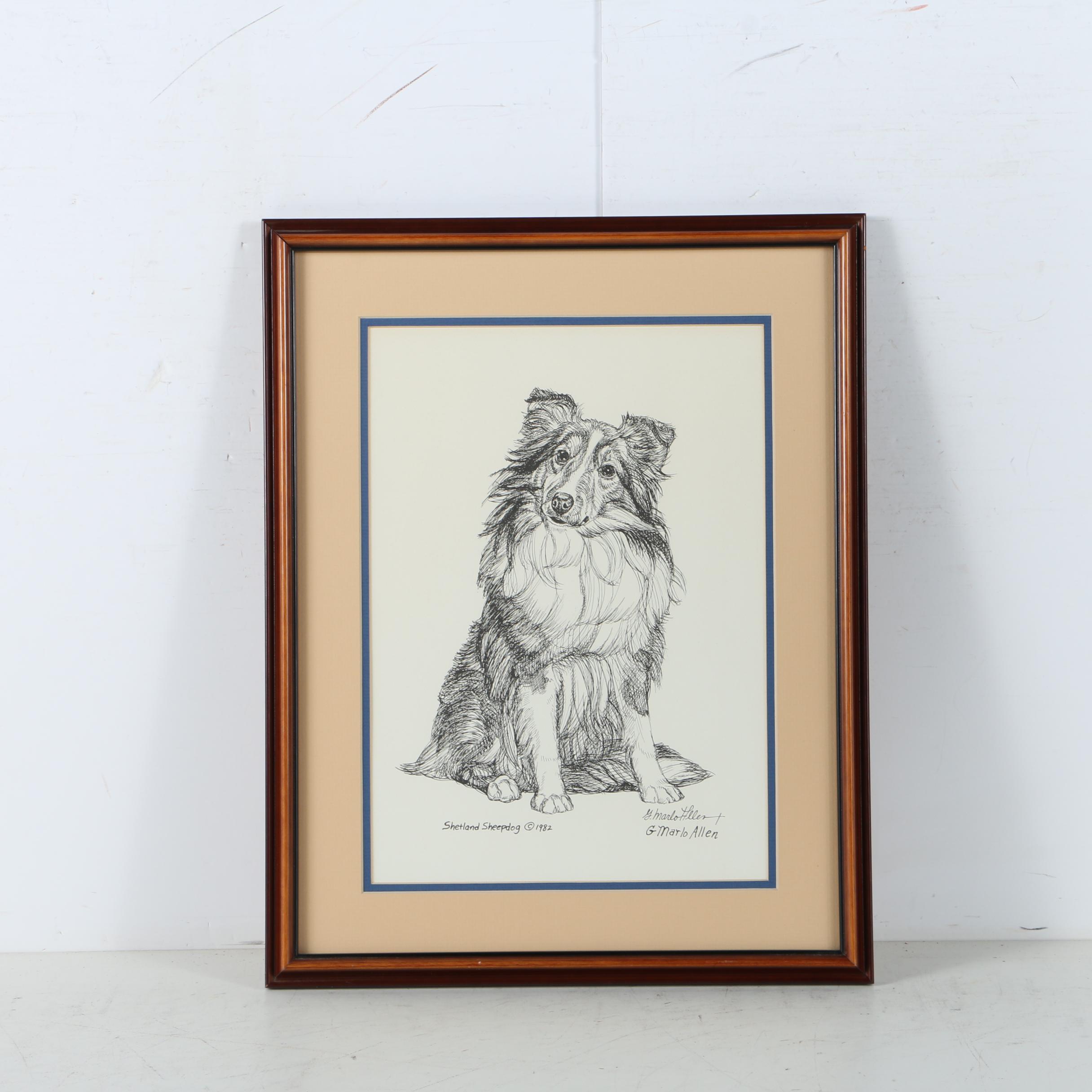 G. Marlo Allen Lithograph on Paper "Shetland Sheepdog"