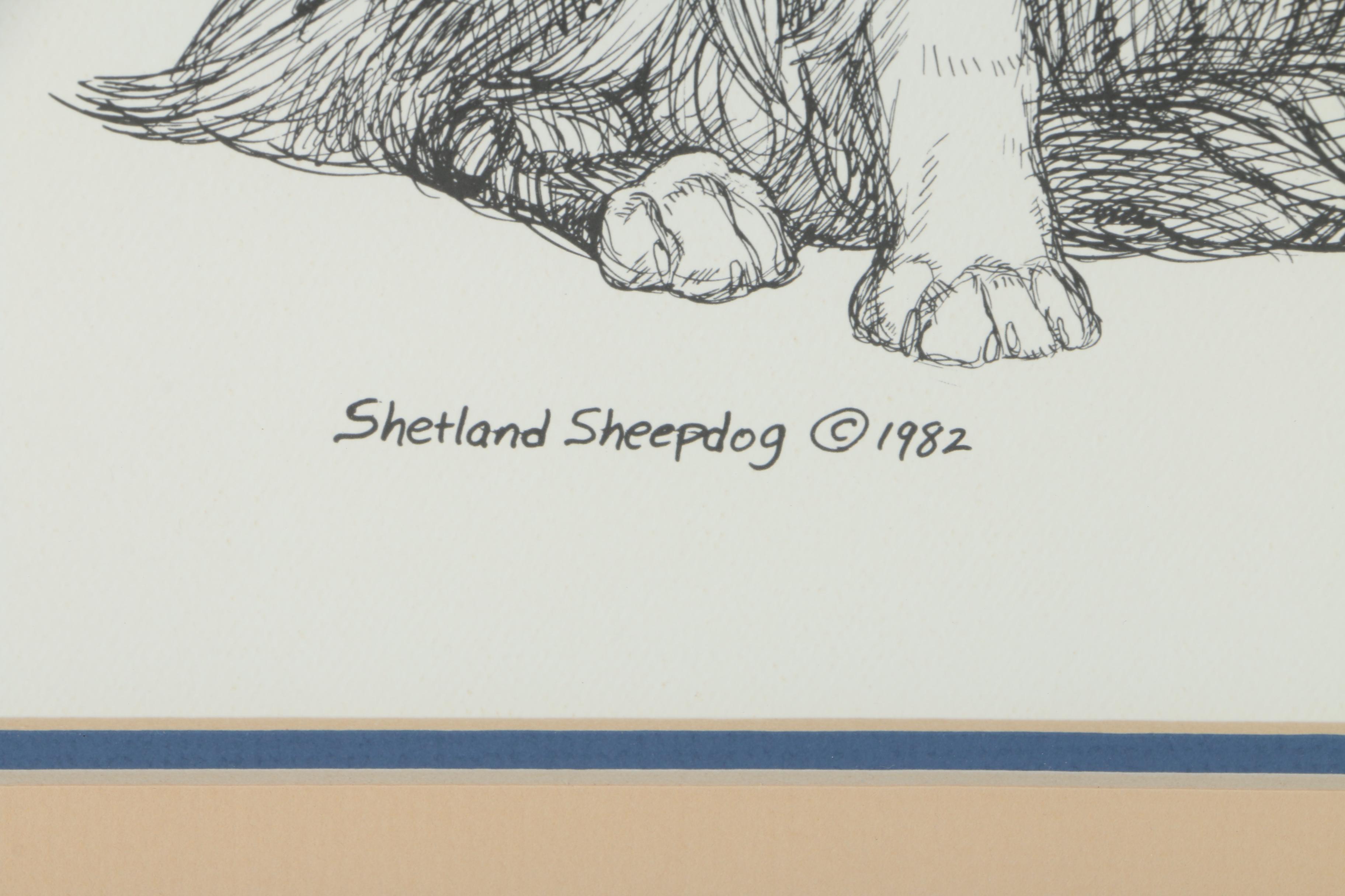 G. Marlo Allen Lithograph on Paper "Shetland Sheepdog"