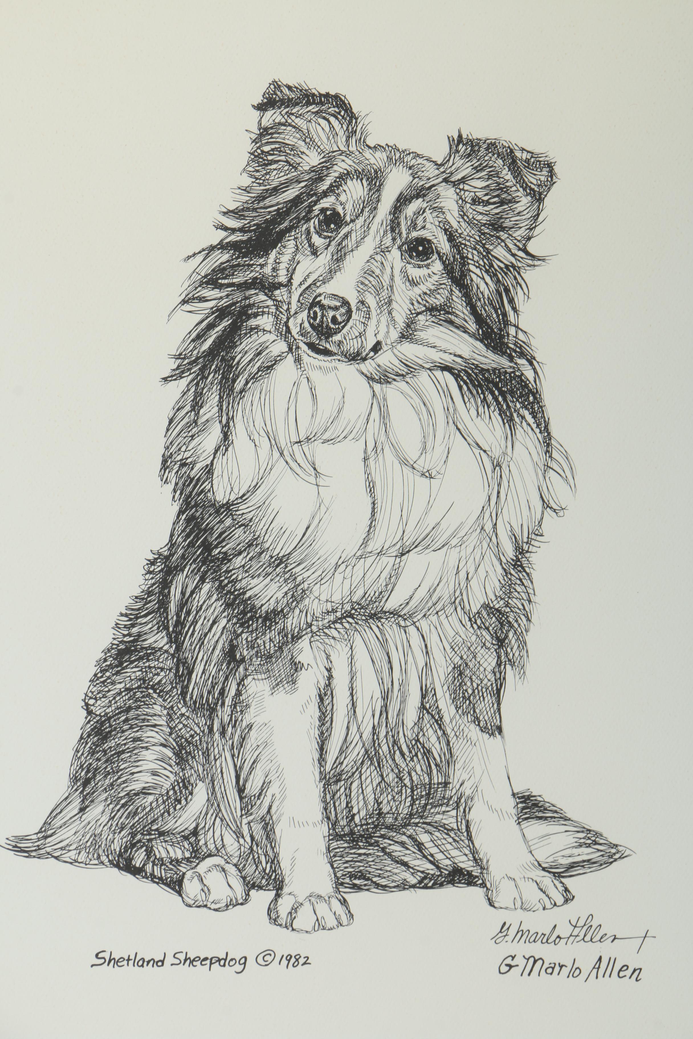 G. Marlo Allen Lithograph on Paper "Shetland Sheepdog"