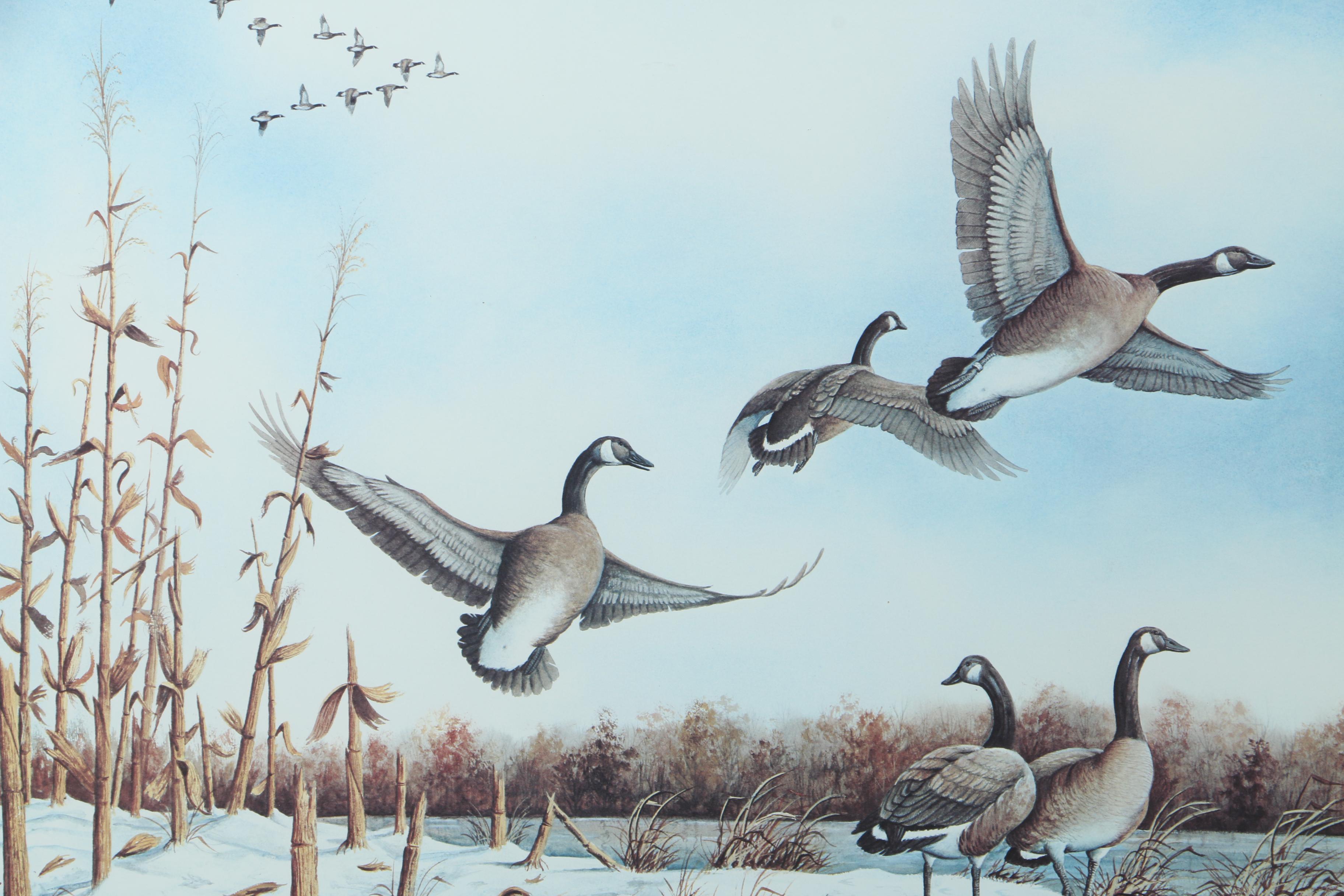 Allen Hughes Limited Edition Offset Lithograph of Geese