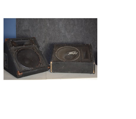 Peavey 115TI Monitor and Peavey 1545M Floor Monitor