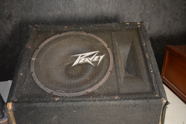 Peavey 115TI Monitor and Peavey 1545M Floor Monitor