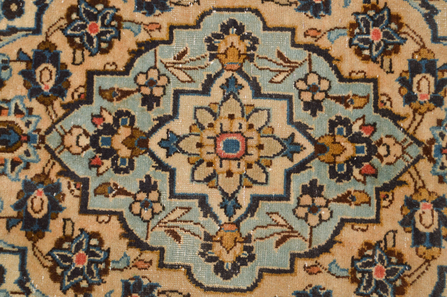 Hand-Knotted Persian Kashan Area Rug