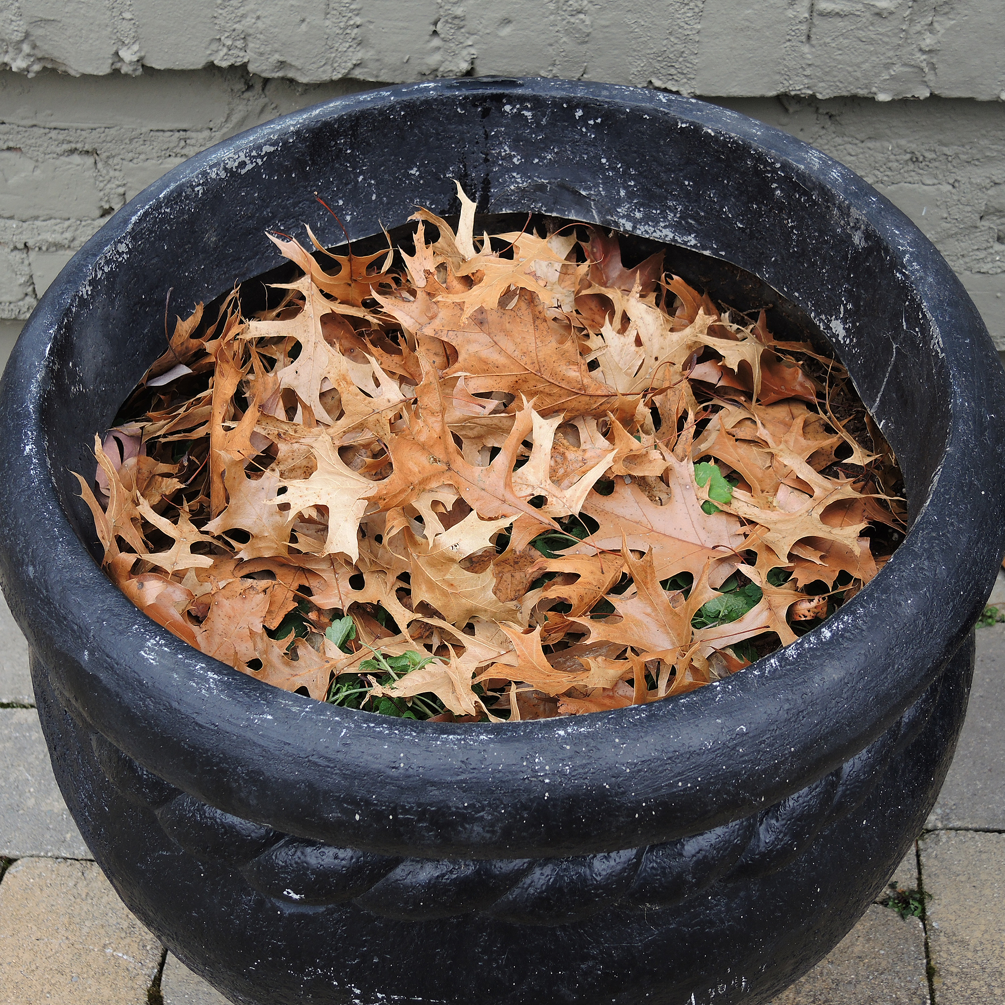 Fiberglass Garden Planters