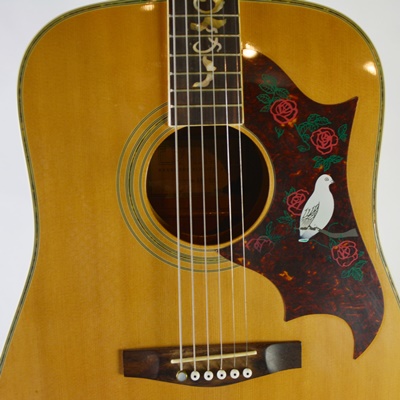 Espanola Acoustic Guitar