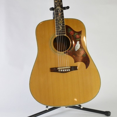 Espanola Acoustic Guitar