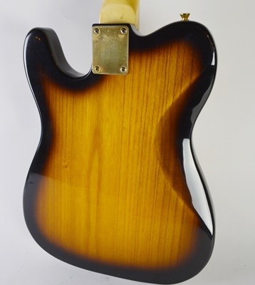 Jay Turser Electric Guitar and Johnson Amplifier