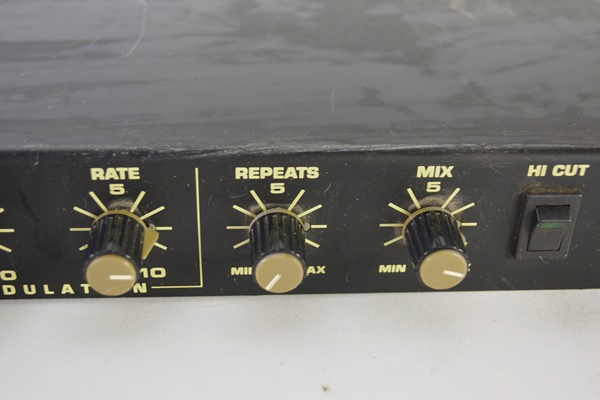 Chandler Electronics Stereo Digital Echo