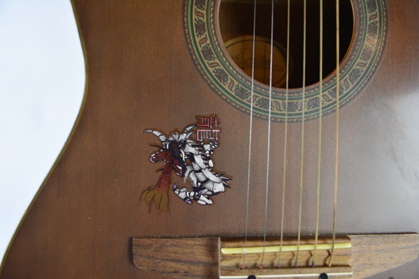 Bestler Electric Acoustic Guitar With Gig Case