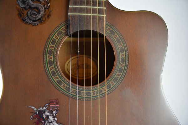 Bestler Electric Acoustic Guitar With Gig Case