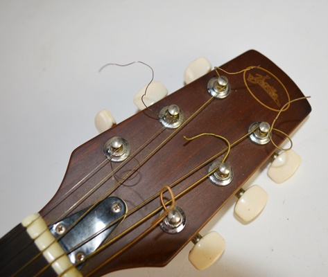 Bestler Electric Acoustic Guitar With Gig Case