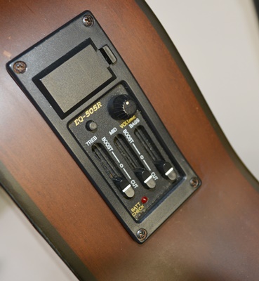 Bestler Electric Acoustic Guitar With Gig Case