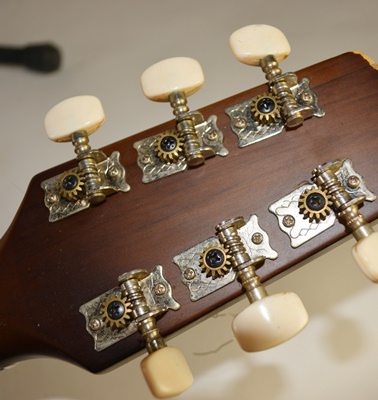 Bestler Electric Acoustic Guitar With Gig Case