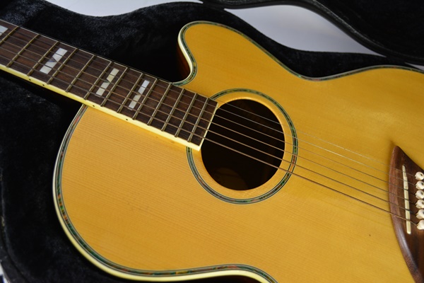 Bestler Electric Acoustic Guitar With Gig Case