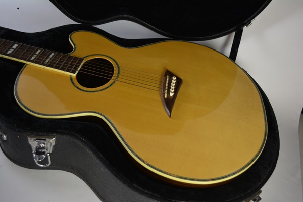 Bestler Electric Acoustic Guitar With Gig Case