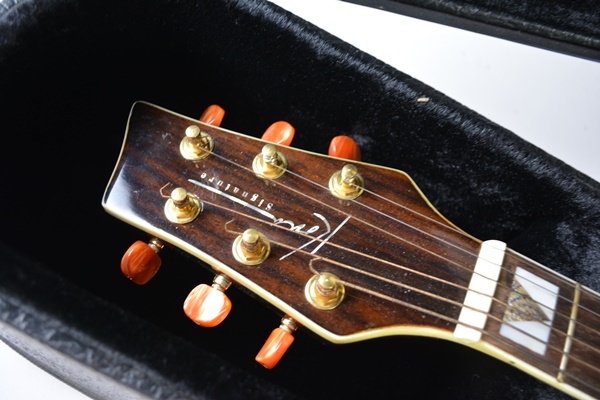 Bestler Electric Acoustic Guitar With Gig Case