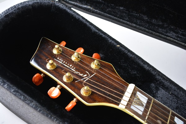 Bestler Electric Acoustic Guitar With Gig Case