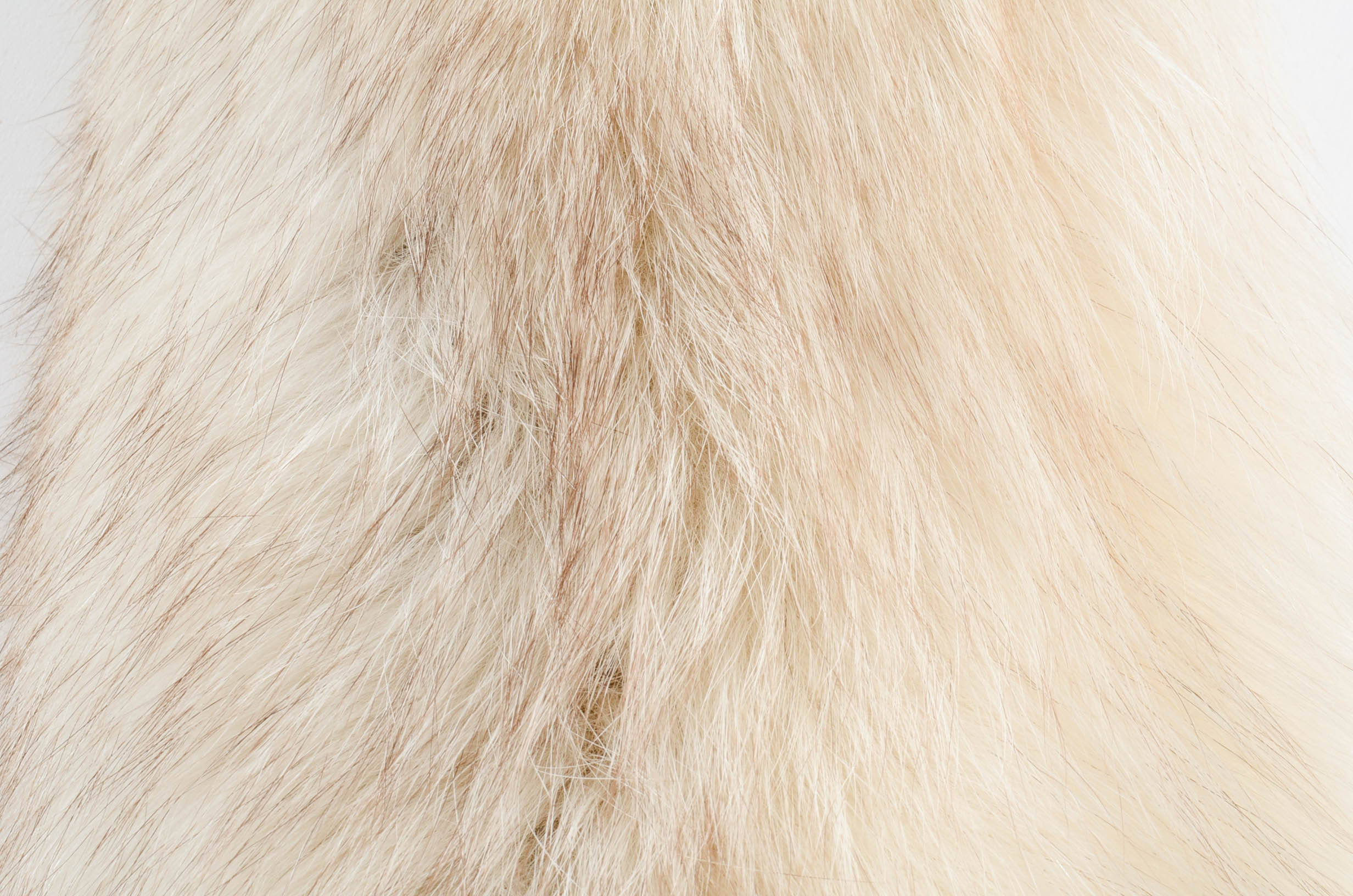 Vintage Gidding-Jenny Fox Fur Stole