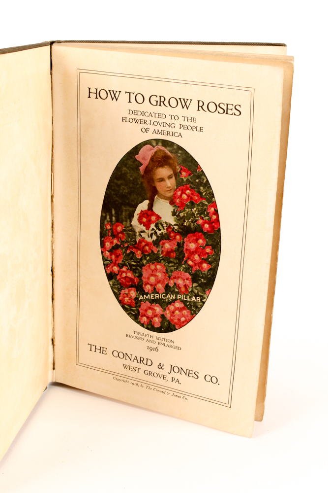 Vintage Flower-Themed Books and Hand-Embroidered Shawl