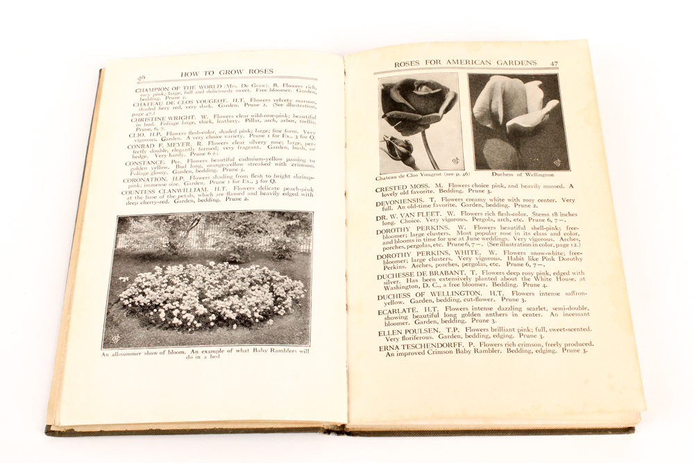 Vintage Flower-Themed Books and Hand-Embroidered Shawl