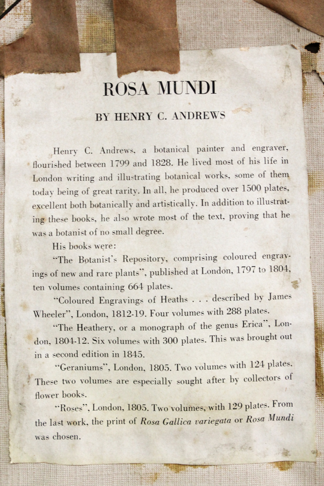 Framed Offset Lithographs Including After Henry C. Andrew's "Rosa Mundi"