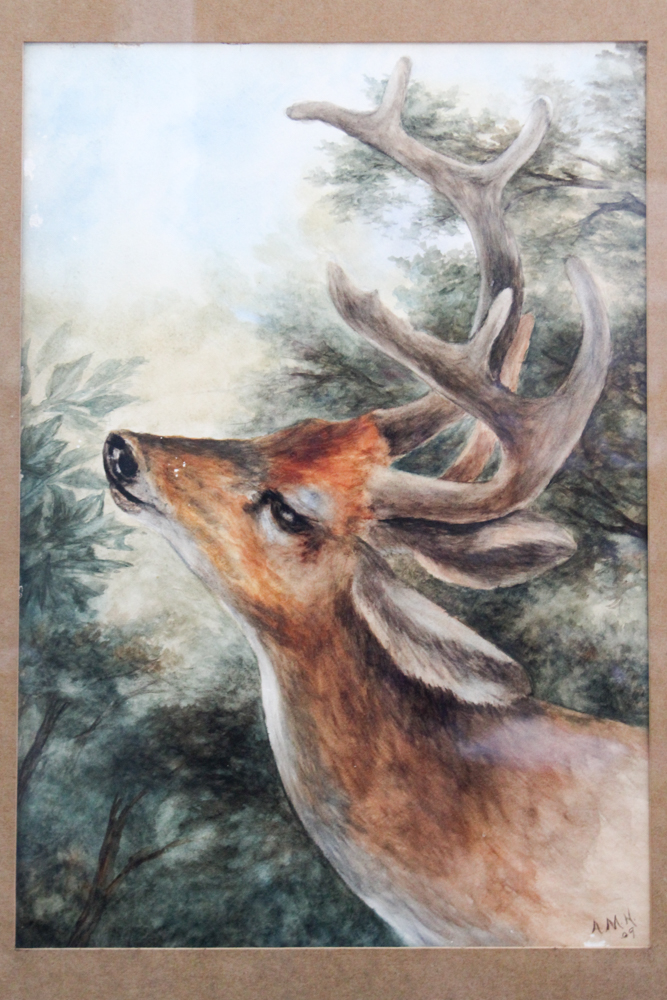 A.M.H. Watercolor Painting on Paper of Deer in Wooded Setting