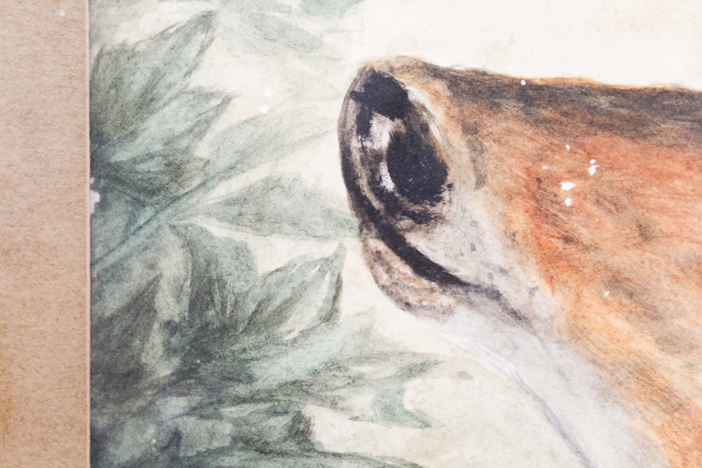 A.M.H. Watercolor Painting on Paper of Deer in Wooded Setting