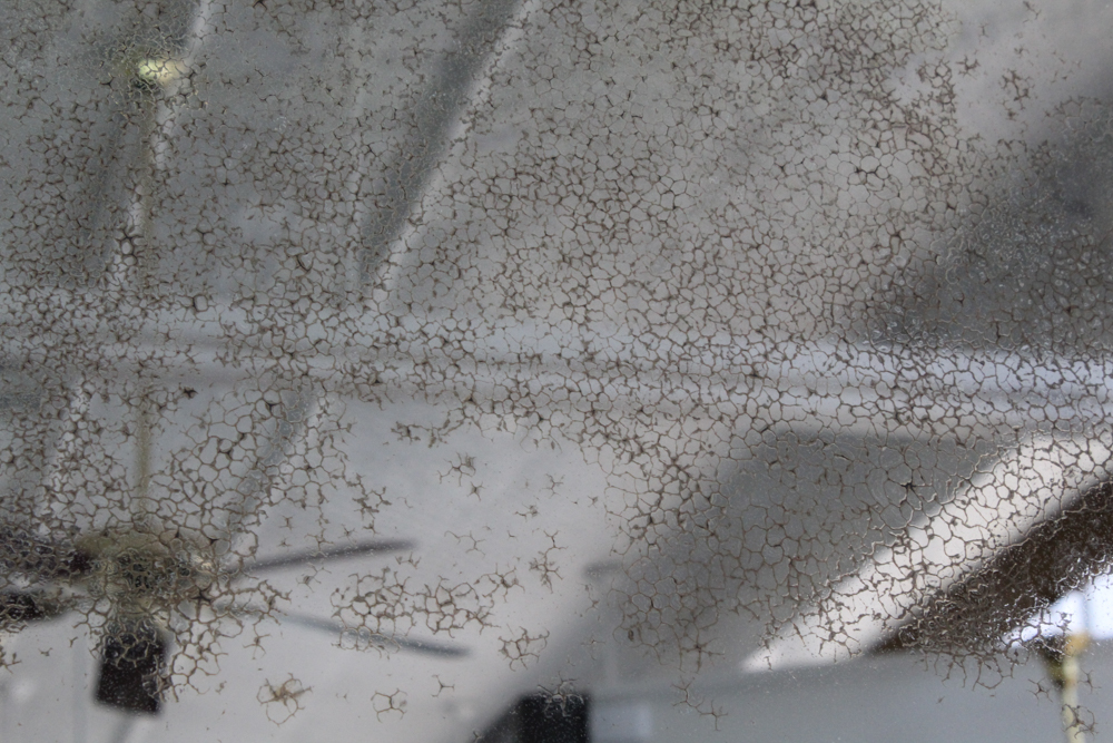 Antique Gesso Framed Wall Mirror