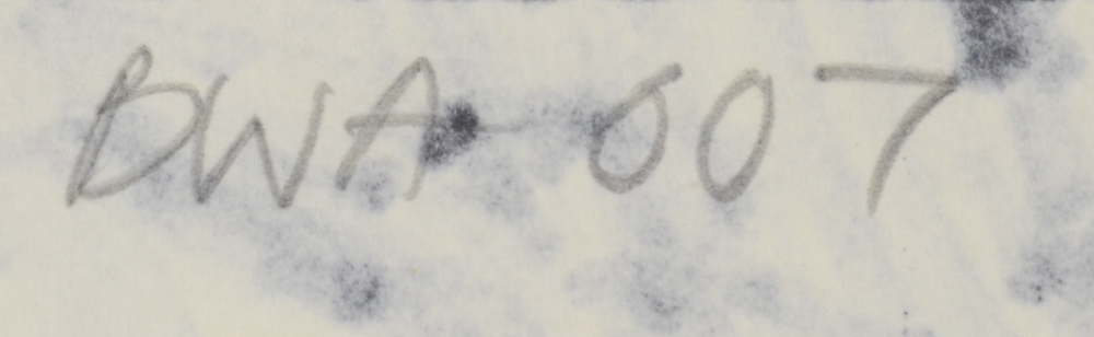 Carol J. Mathews Black and White Abstract Drawing