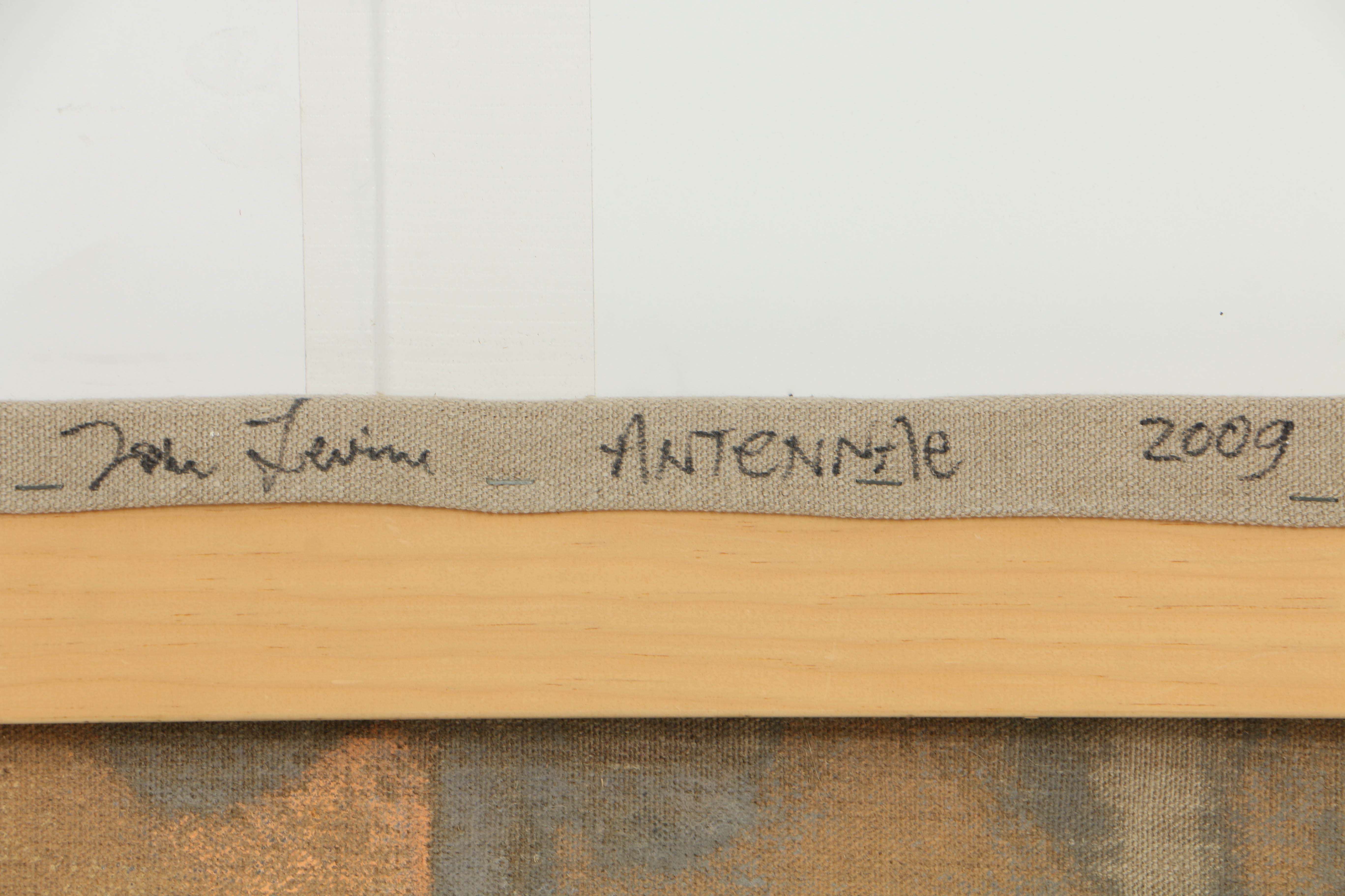 Tom Levine Oil Painting on Linen "Antennae"