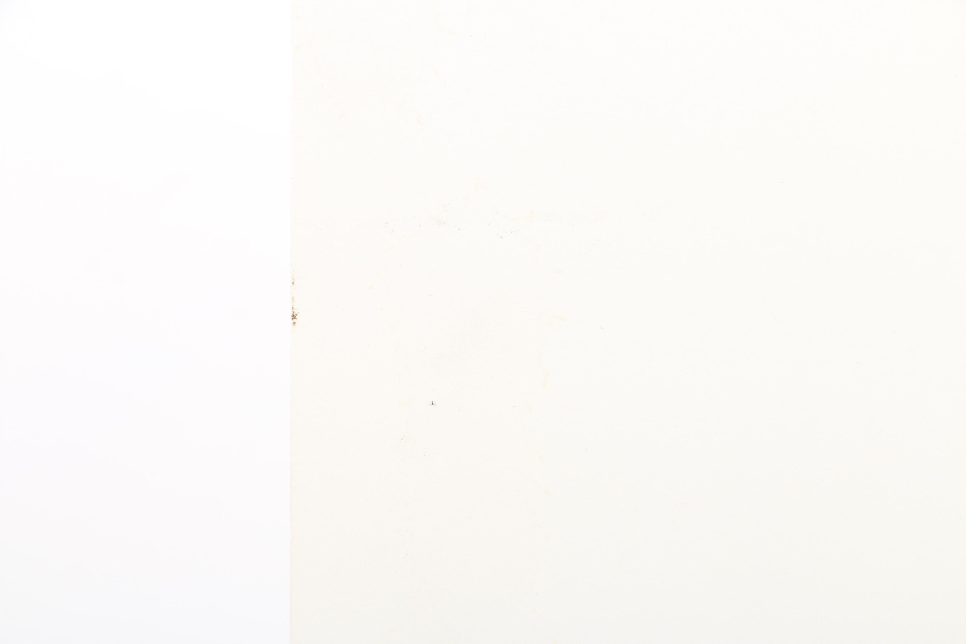 J. W. Evans Halftone Reproduction Print on Paper of Ulysses S. Grant