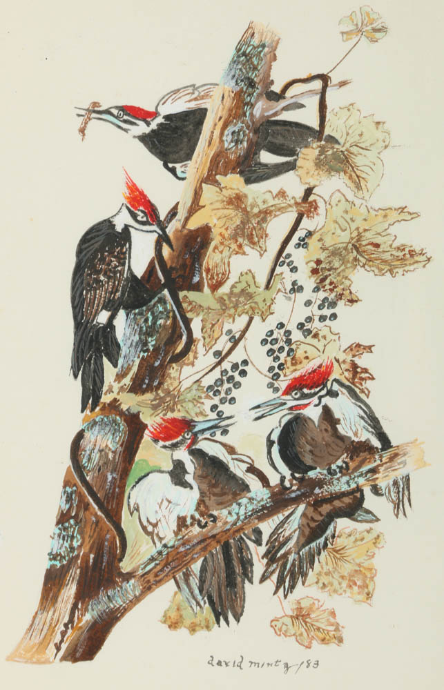 1983 David Mintz Watercolor Painting of Woodpeckers