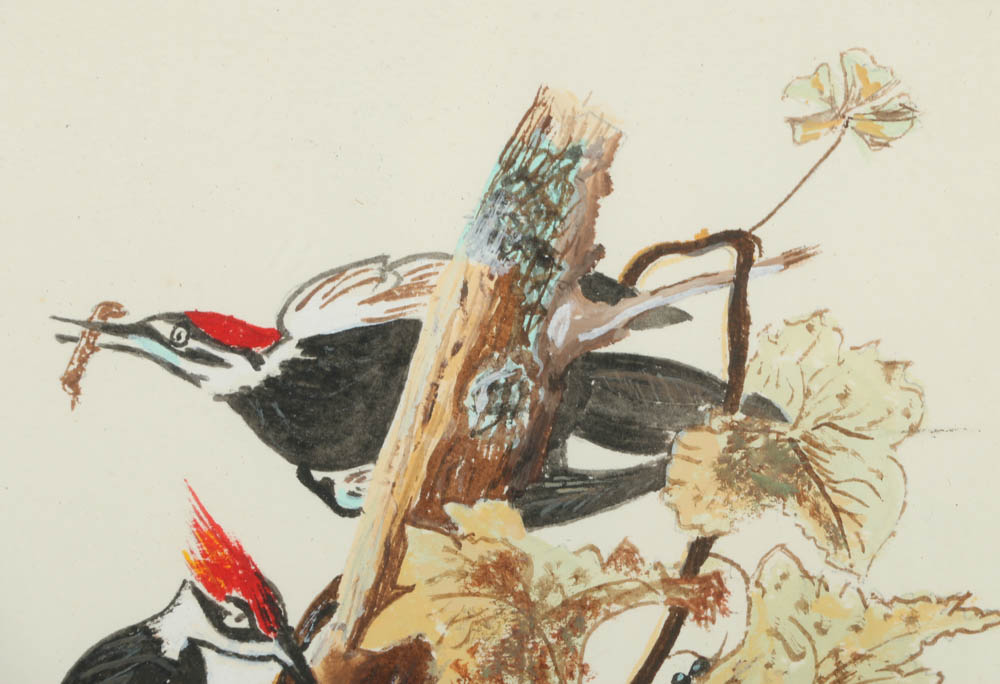 1983 David Mintz Watercolor Painting of Woodpeckers