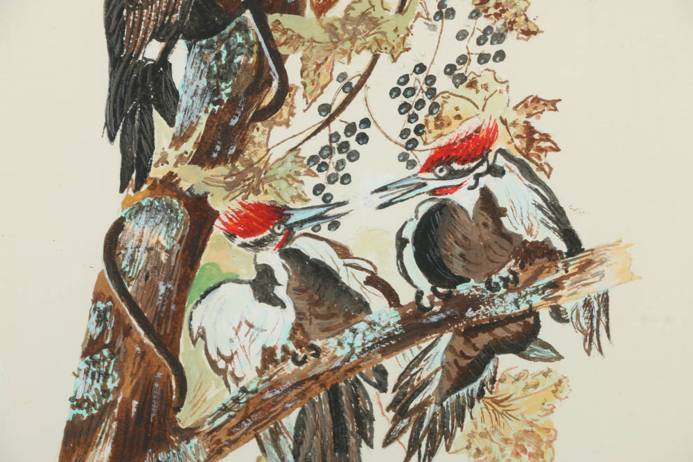 1983 David Mintz Watercolor Painting of Woodpeckers