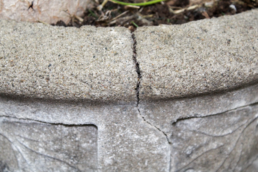 Cement Planter with Plant