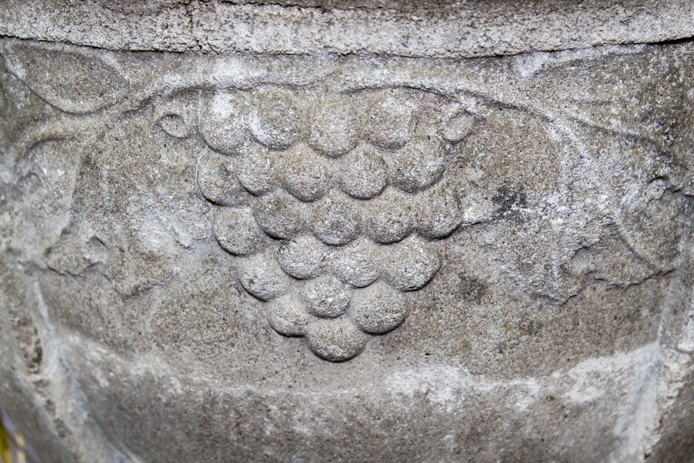 Cement Planter with Plant