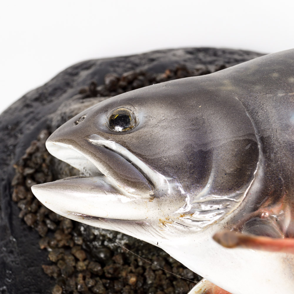 Mounted Replica Brook Trout