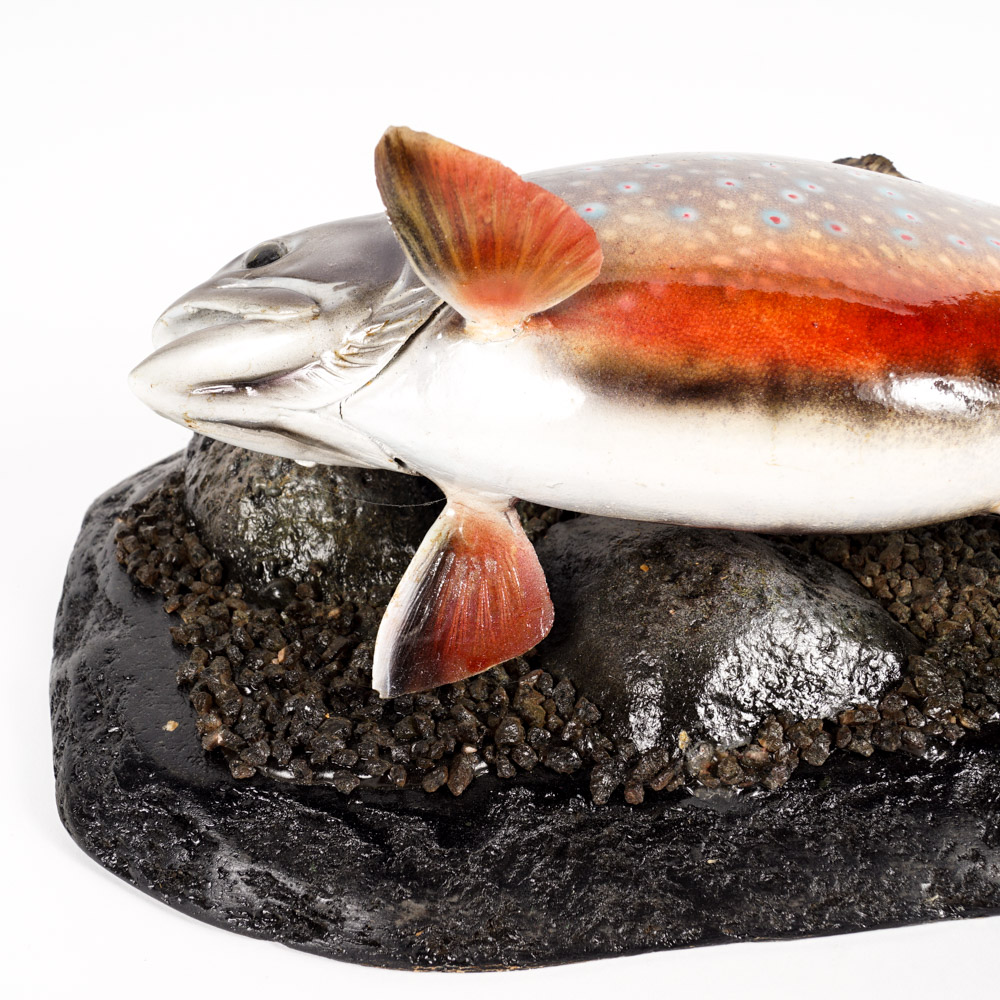 Mounted Replica Brook Trout
