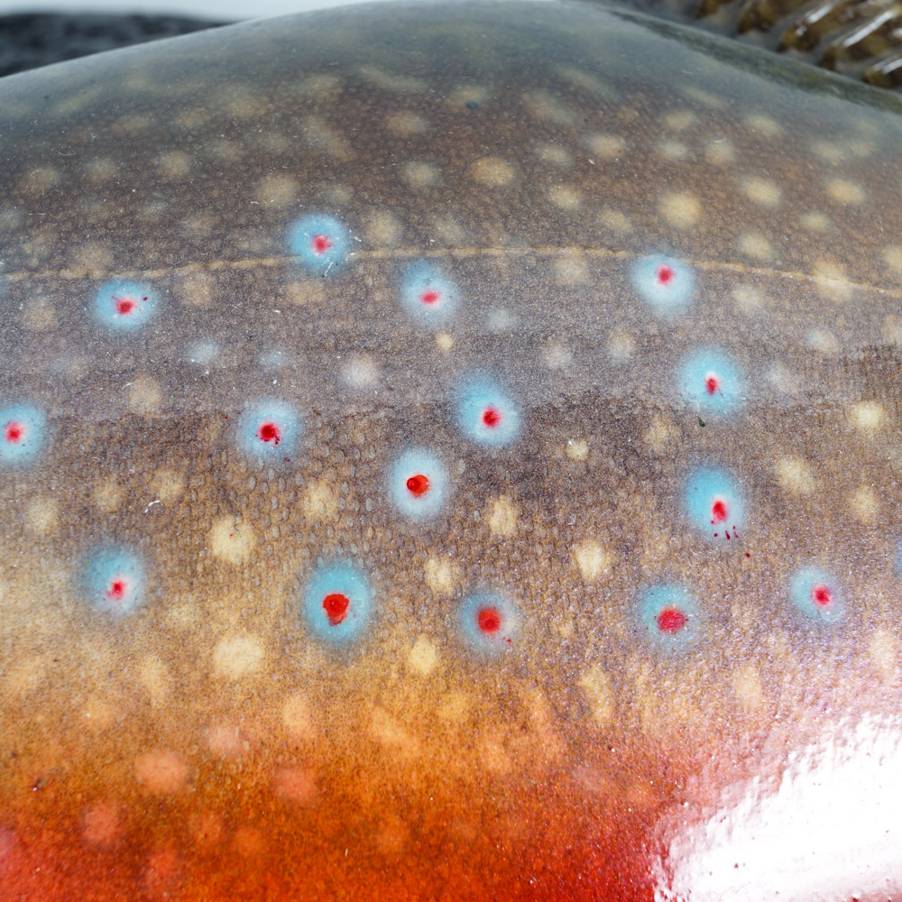 Mounted Replica Brook Trout