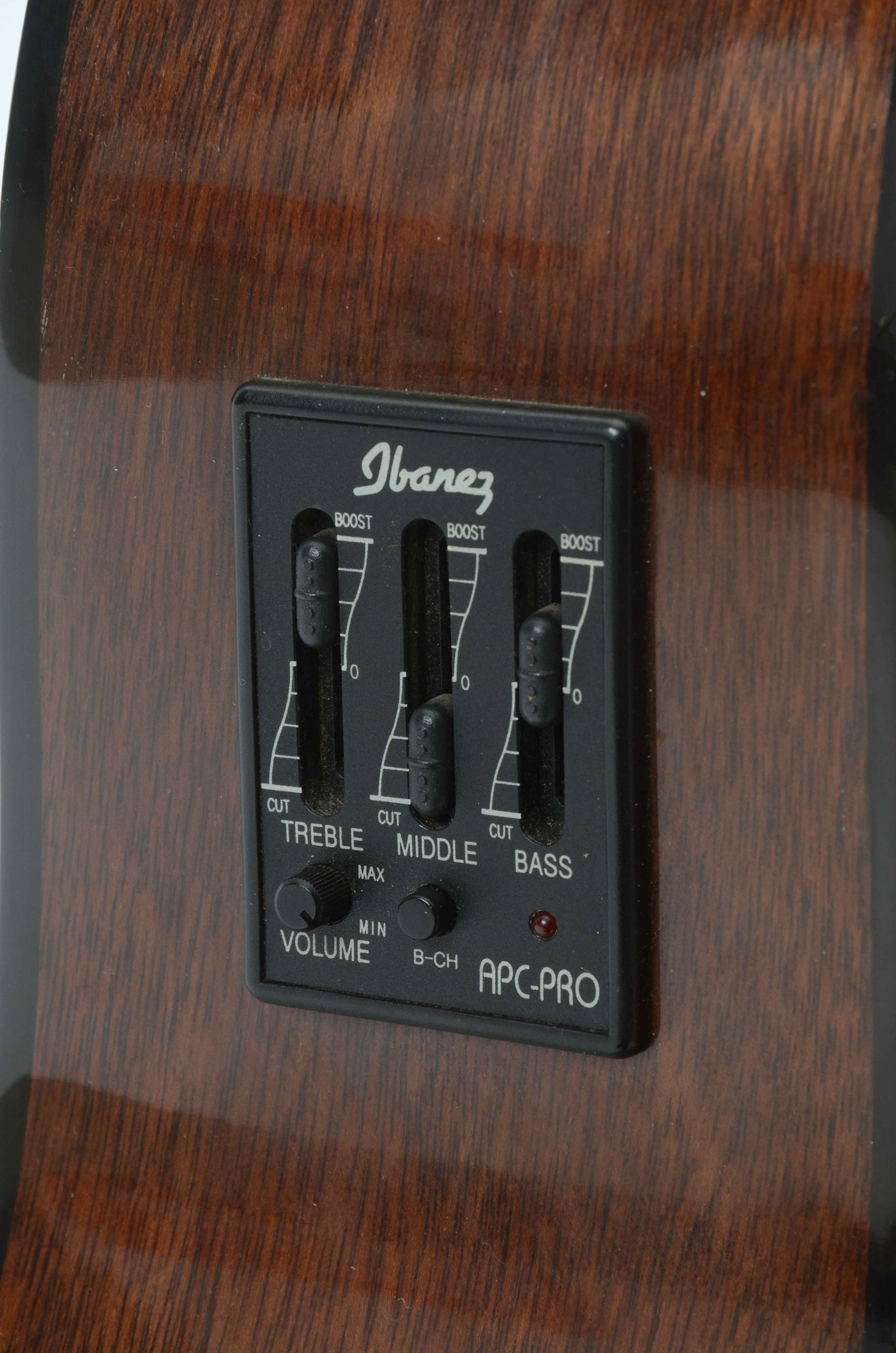 Ibanez PF5CE-NT Acoustic Electric Guitar